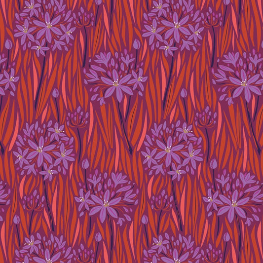 Agapantha, Warm- Wandering Eye Collection by Kathy Doughty