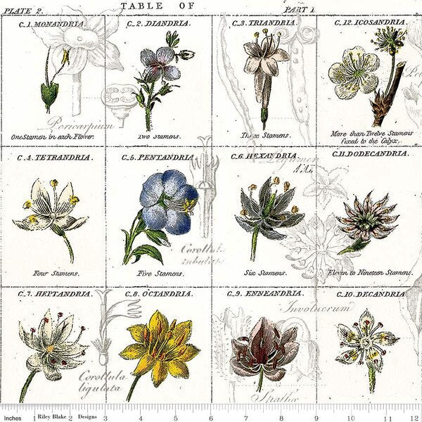 Sewing Seeds III Flower Classes White