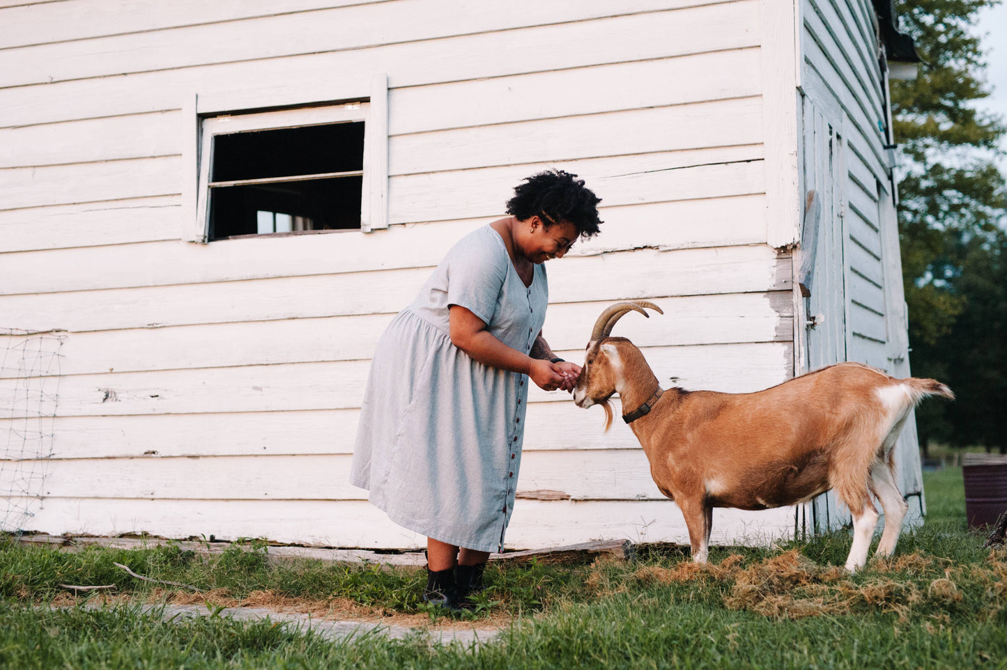 Hinterland Dress Sewing Pattern