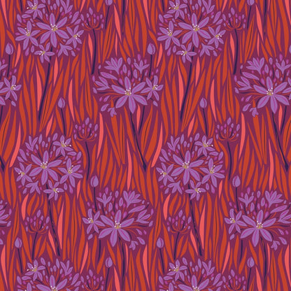 Agapantha, Warm- Wandering Eye Collection by Kathy Doughty