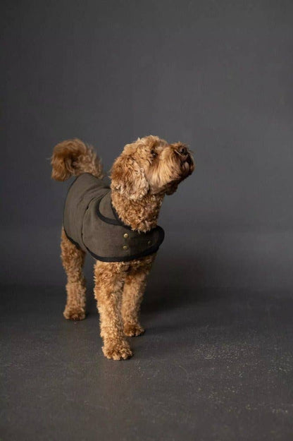 The Barka Dog Coat Pattern